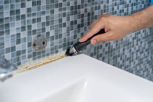 Best Mold Remediation for Schools in Milan, IN