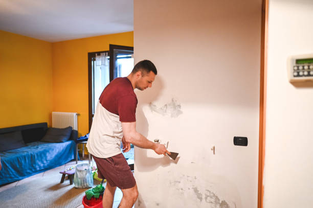 Best Residential Mold Remediation in Milan, IN